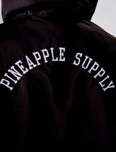 CortaVento-Pineapple-WindBreaker-05.jpg